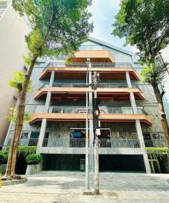 Dashaus Trần Nhật Duật