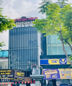 Hưng Gia Anh Building